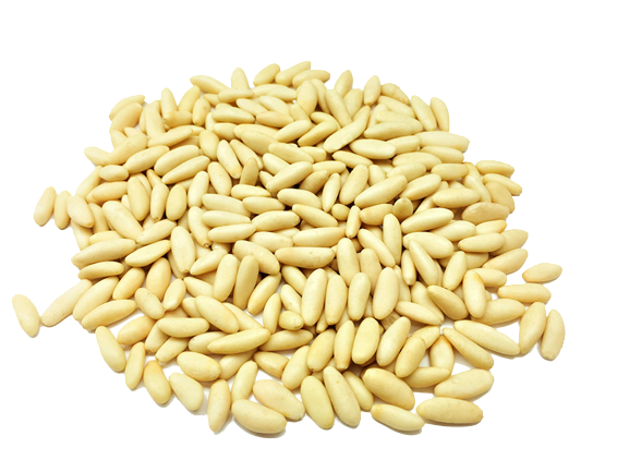 Wholesale Pine Nuts