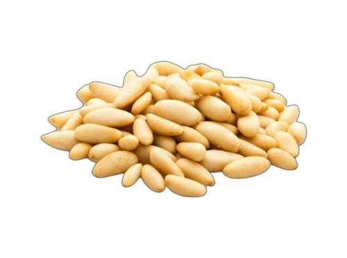 Wholesale pine nuts