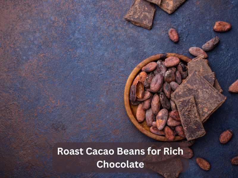 Roast Cacao Beans for Rich Chocolate Roast Cacao Beans for Rich Chocolate