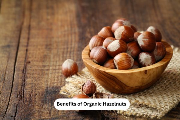 Benefits of Organic Hazelnuts