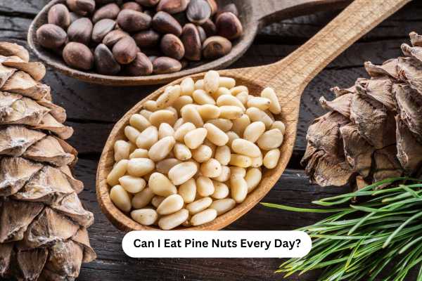 Can I Eat Pine Nuts Every Day