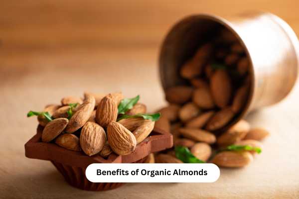 What Are The Benefits of Organic Almonds