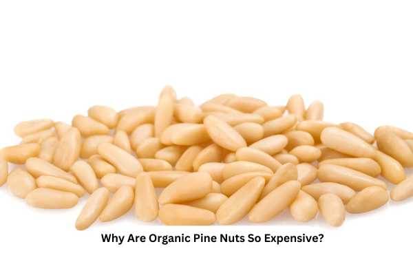Why Are Organic Pine Nuts So Expensive