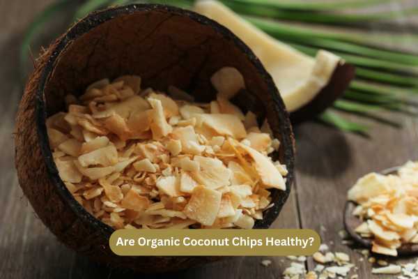 Are Organic Coconut Chips Healthy
