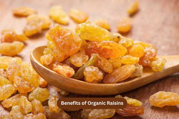 Benefits of Organic Raisins