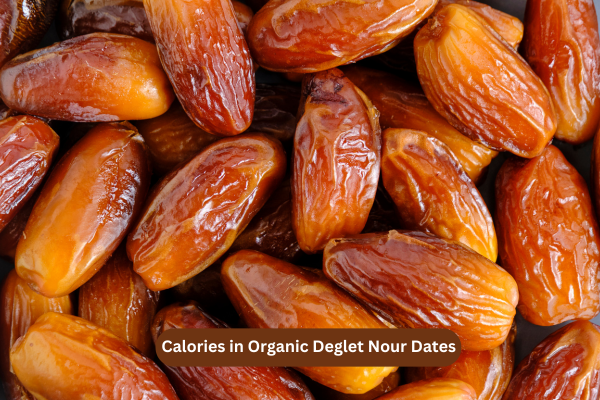 Calories Are in Organic Deglet Nour Dates