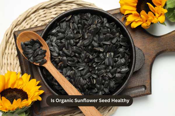 Is Organic Sunflower Seed Healthy