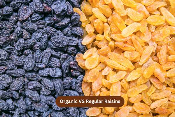 Organic VS Regular Raisins