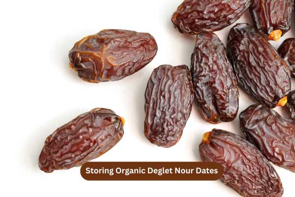 Storing Organic Deglet Nour Dates