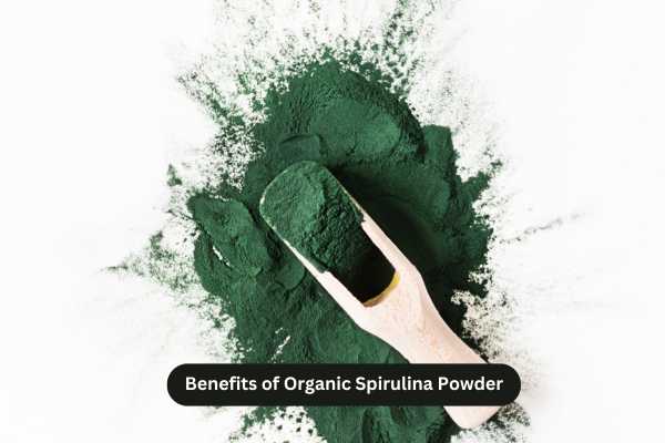 Benefits of Organic Spirulina Powder