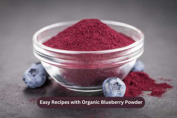 Wholesale Organic Blueberry Powder