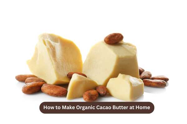 How to Make Organic Cacao Butter at Home