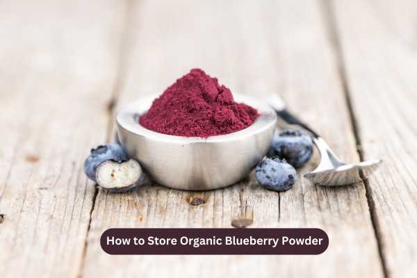 How to Store Organic Blueberry Powder