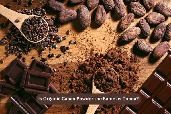 Is Organic Cacao Powder the Same as Cocoa?