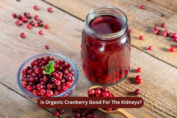 Is Organic Cranberry Good For The Kidneys?