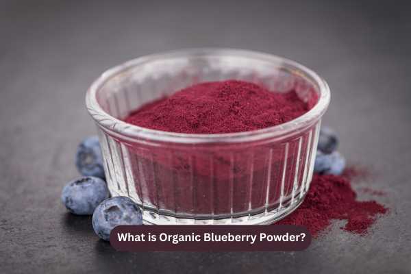 What is Organic Blueberry Powder?