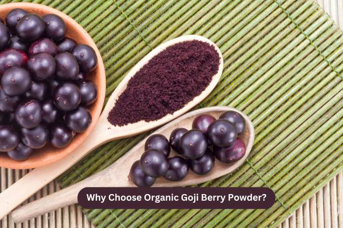 Why Choose Organic Goji Berry Powder?
