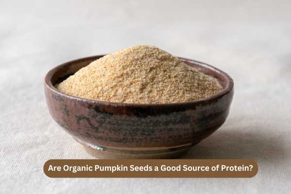 Are Organic Pumpkin Seeds a Good Source of Protein