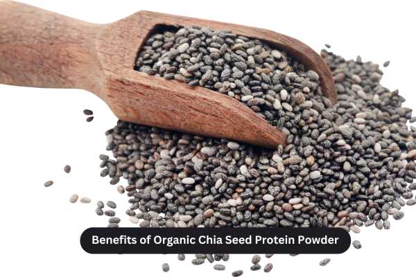 Benefits of Organic Chia Seed Protein Powder