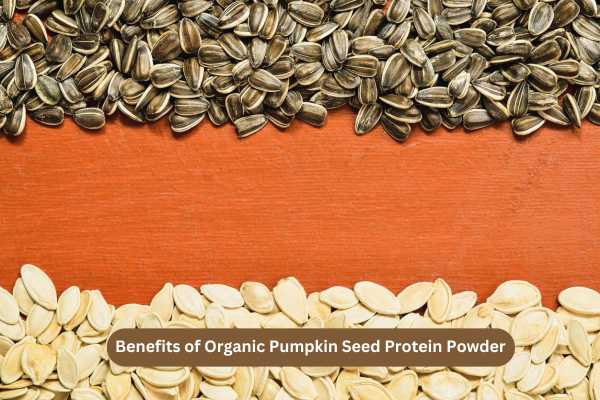Benefits of Organic Pumpkin Seed Powder