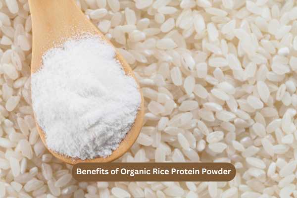 Benefits of Organic Rice Protein Powder