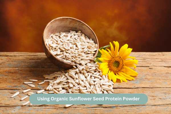 Benefits of Organic Sunflower Seed Protein Powder (1)