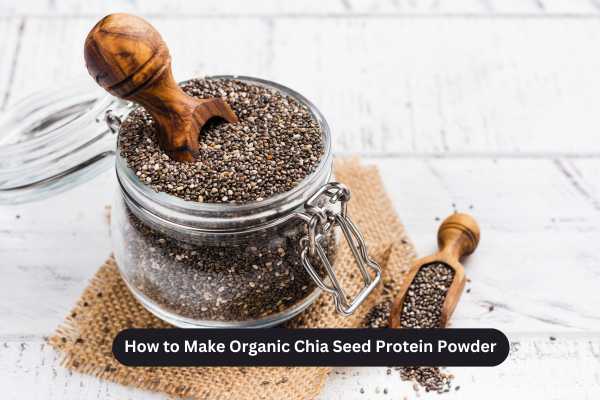 How to Make Organic Chia Seed Protein Powder