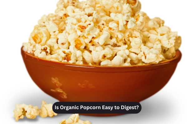 Is Organic Popcorn Easy to Digest?
