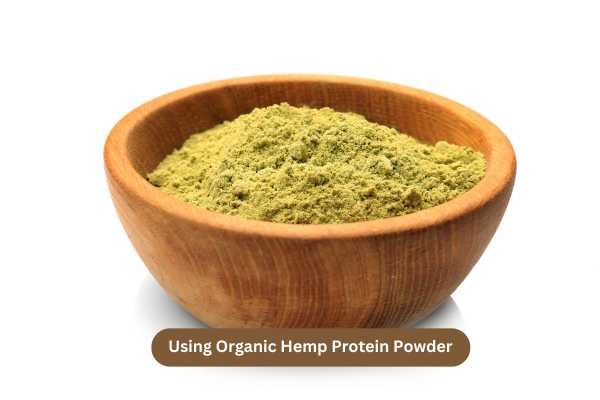 Use Organic Hemp Protein Powder