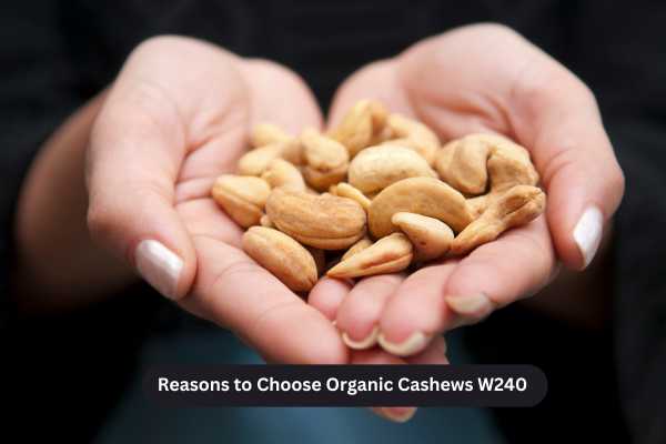 Reasons to Choose Organic Cashews W240