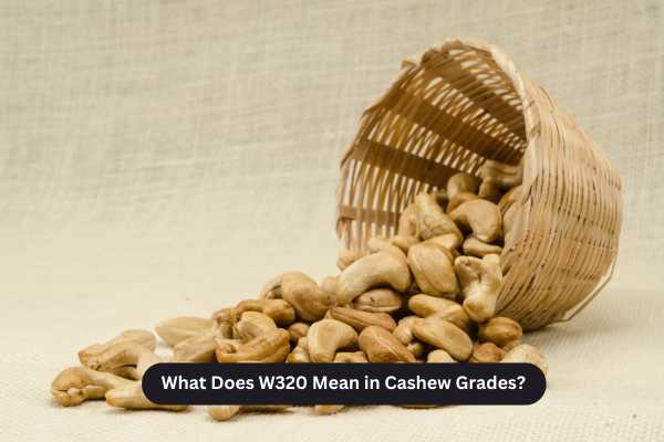 What Does W320 Mean in Cashew Grades?