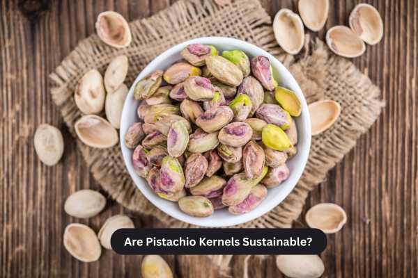 Are Pistachio Kernels Sustainable