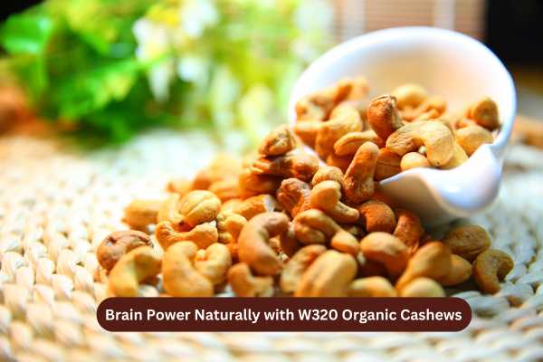 Brain Power Naturally with W320 Organic Cashews