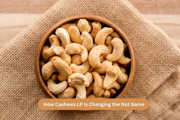 How Cashews LP Is Changing the Nut Game