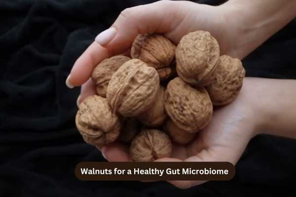 Walnuts for a Healthy Gut Microbiome