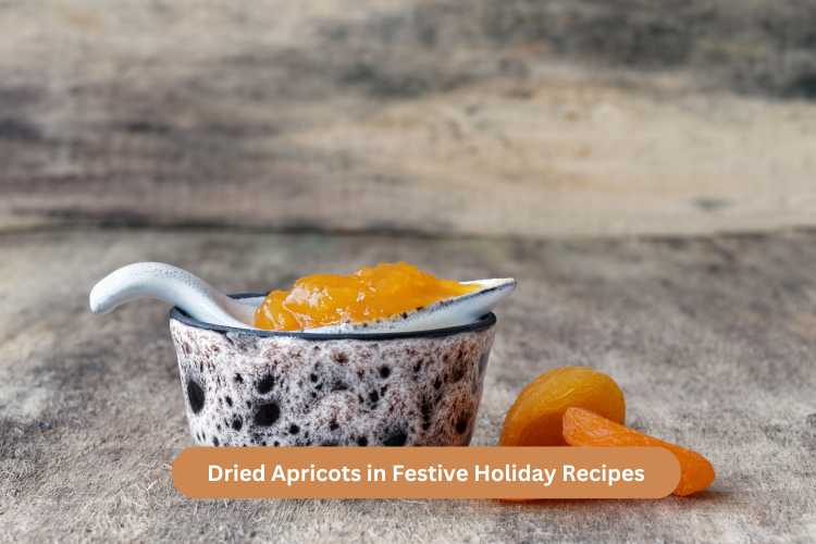 Dried Apricots in Festive Holiday Recipes