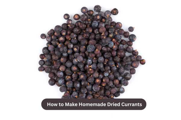 How to Make Homemade Dried Currants Easily