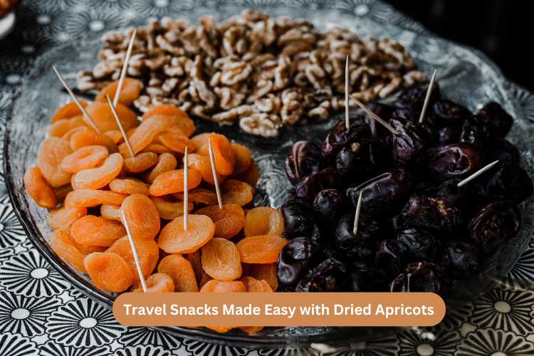 Travel Snacks Made Easy with Dried Apricots