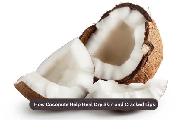 How Coconuts Help Heal Dry Skin and Cracked Lips