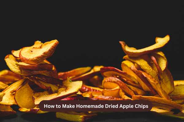 How to Make Homemade Dried Apple Chips
