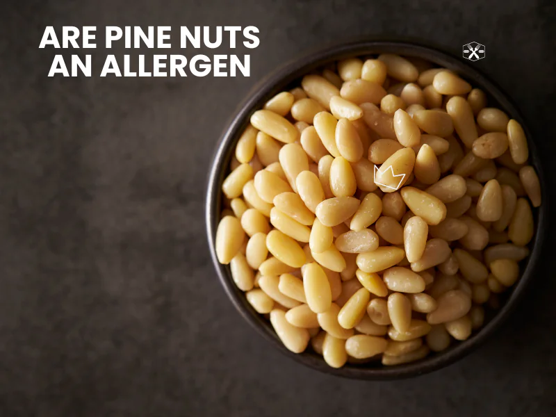 Are Pine Nuts An Allergen