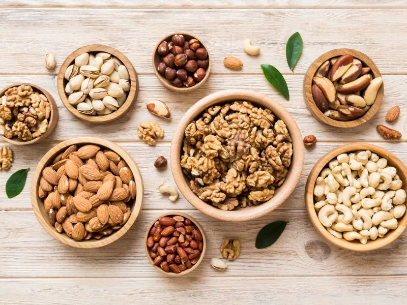 Are nuts high in protein
