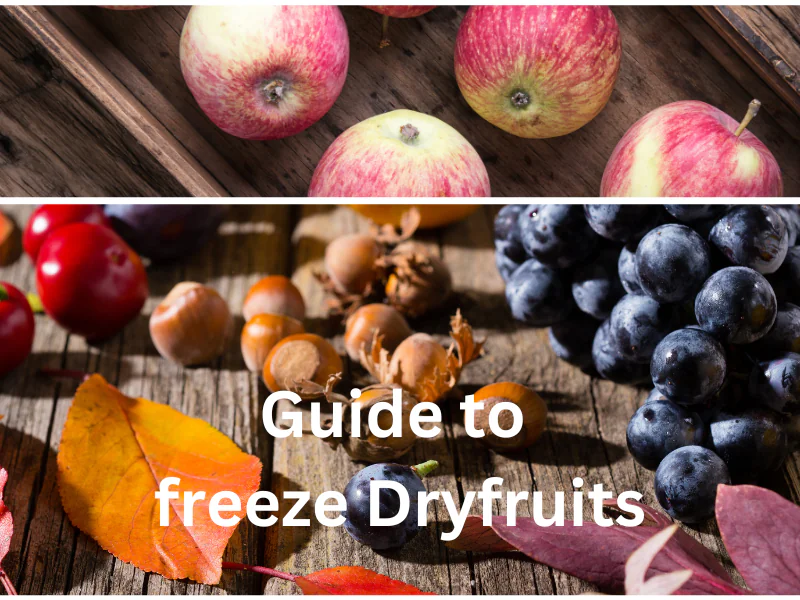 freeze dry fruits