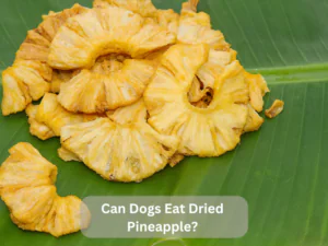 Can Dogs Eat Dried Pineapple