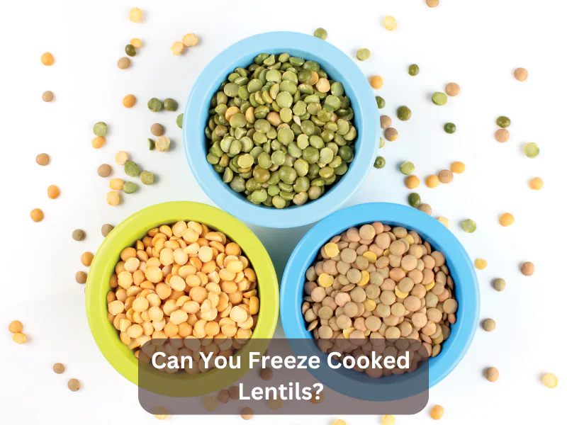 Can You Freeze Cooked Lentils 