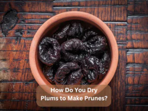 How Do You Dry Plums to Make Prunes