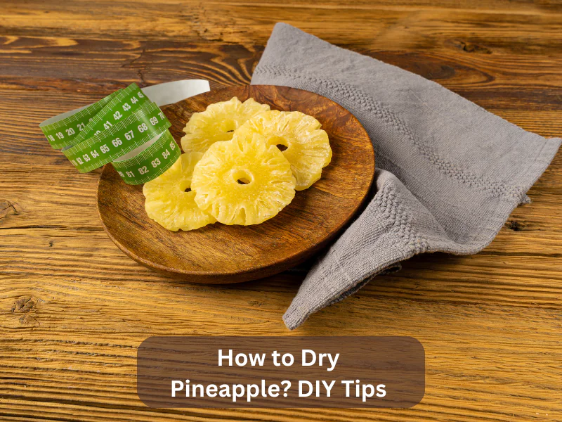 How to Dry Pineapple DIY Tips