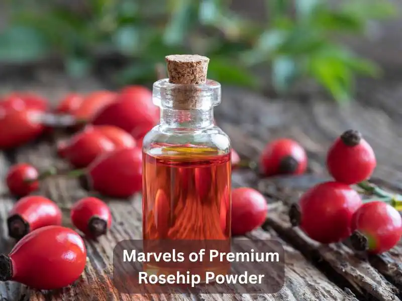 Marvels of Premium Rosehip Powder