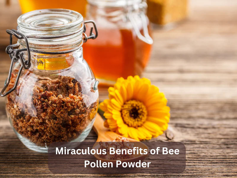Miraculous Benefits of Bee Pollen Powder