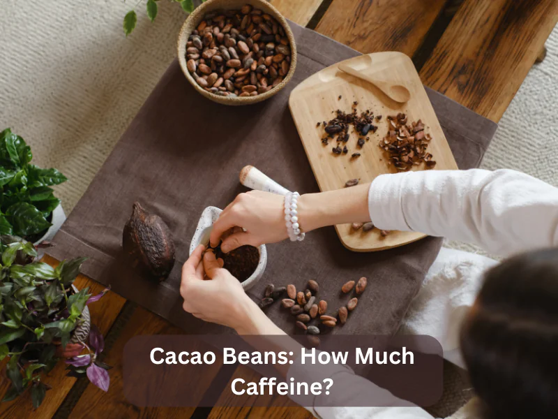 Cacao Beans How Much Caffeine
